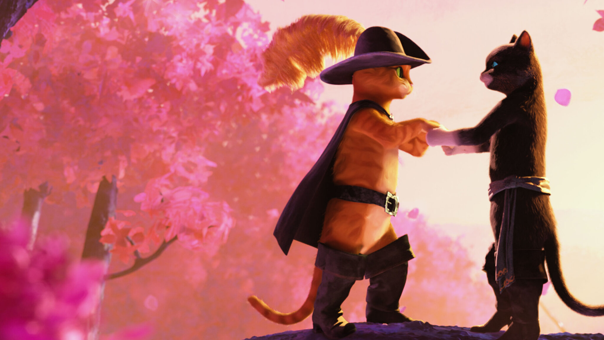 Жабайы орхидеяның порно көріністері