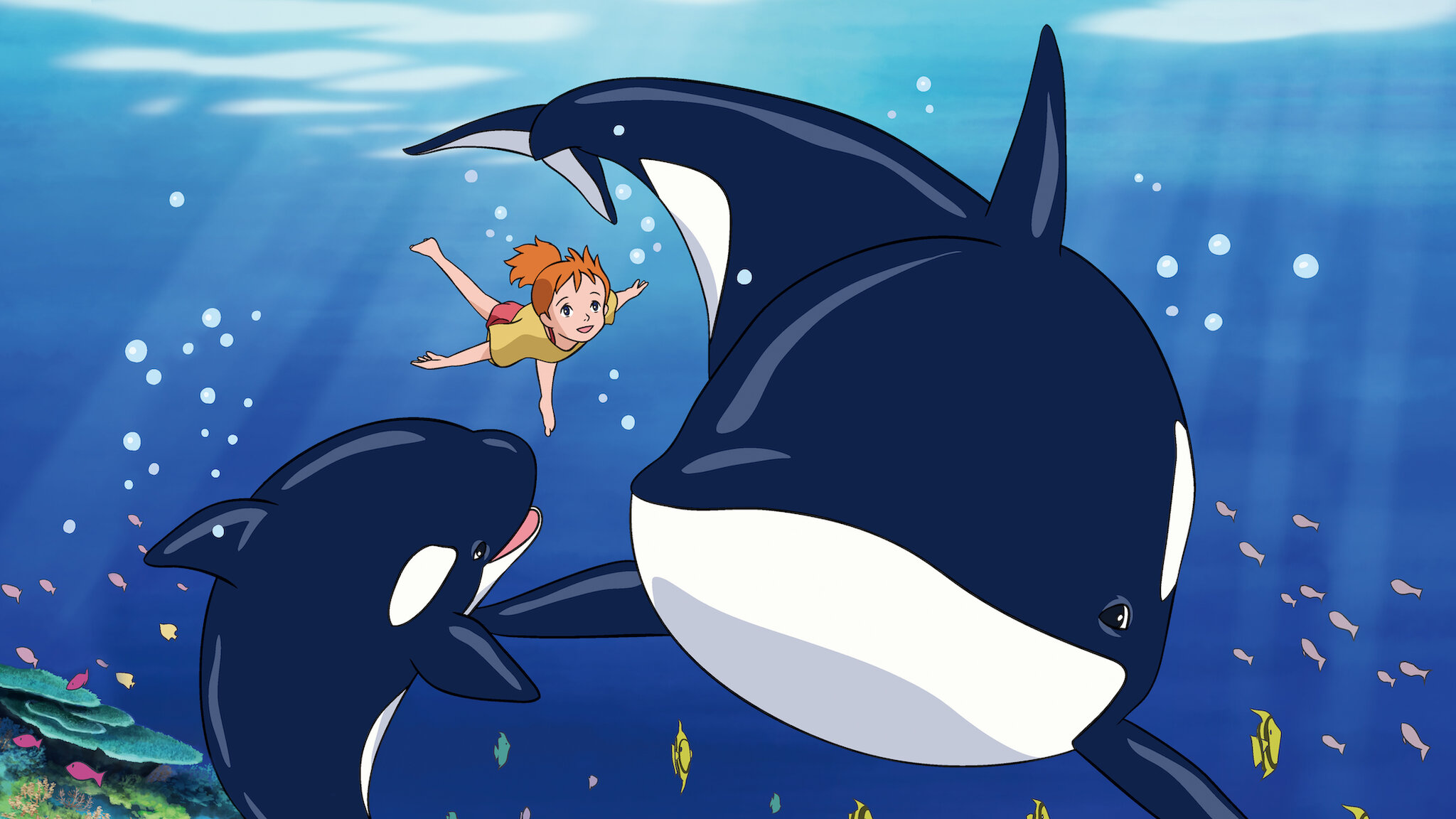 七つの海のティコ﻿を観﻿る | Netflix