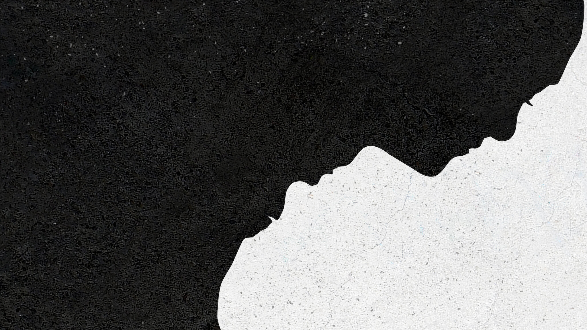 レイチェル: 黒人と名乗った女性 (予告編)