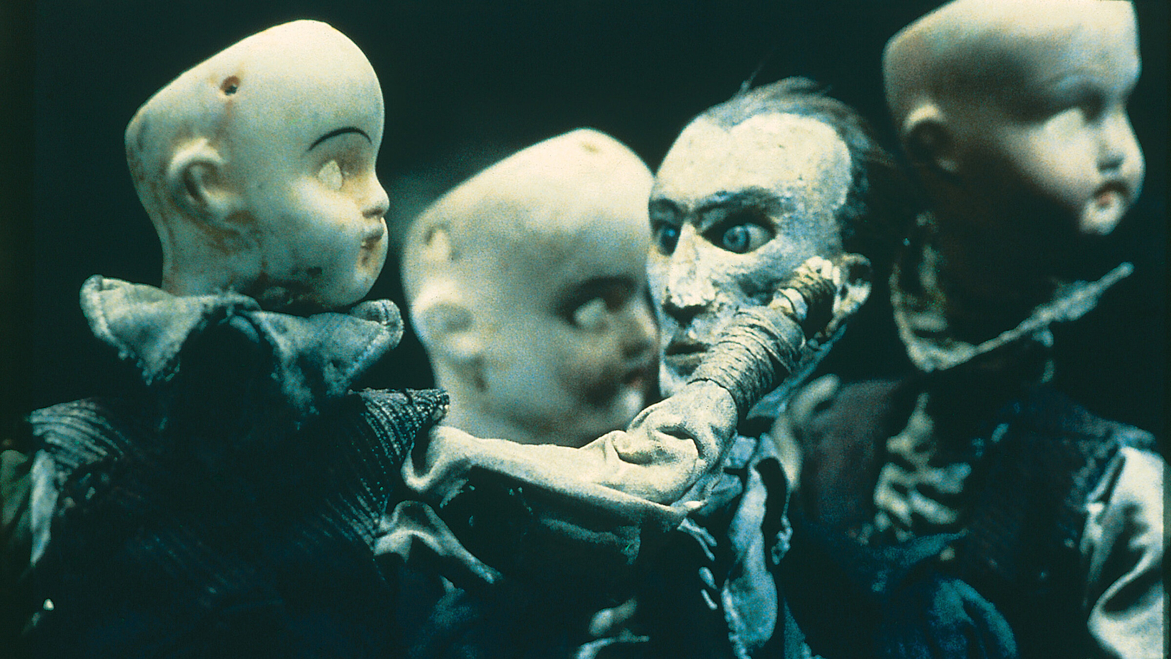希少　Phantom Museum's The Short Films Watch Phantom Museums: The Short Films of the Quay Brothers | Netflix