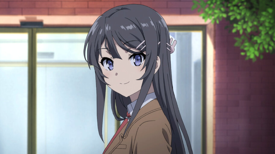 青春ブタ野郎はバニーガール先輩の夢を見ない TVアニメ「青春ブタ野郎はバニーガール先輩の夢を見ない」第2弾