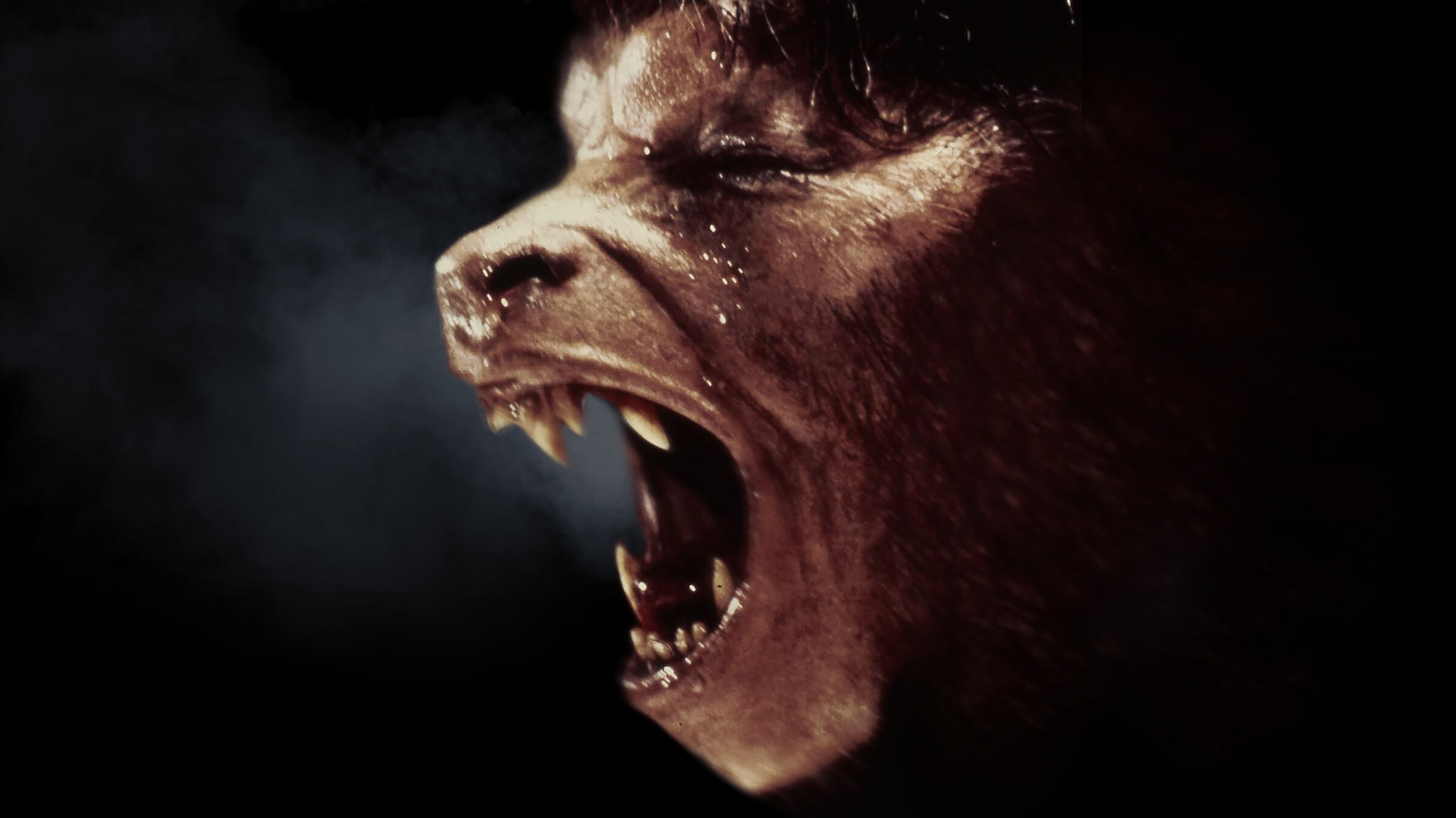 Watch An American Werewolf in London | Netflix
