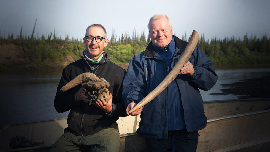 Жас, әдемі әйел маска киіп минет жасайды.