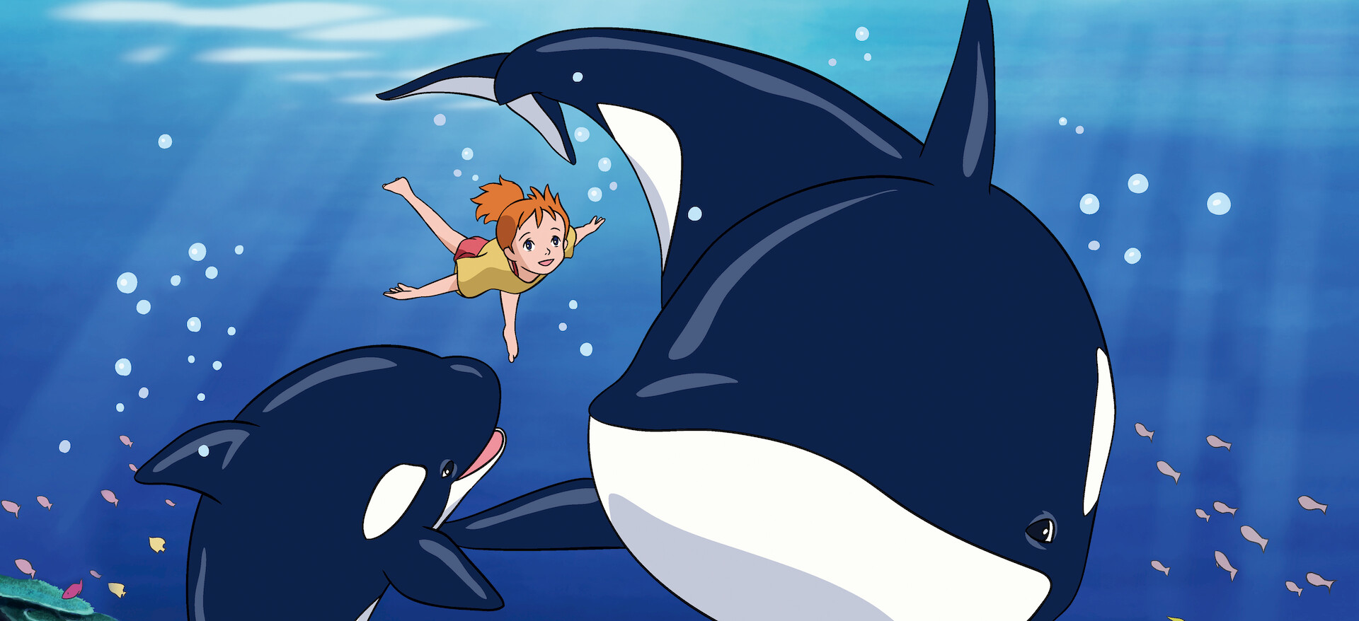 七つの海のティコ(8) [DVD] p706p5g 七つの海のティコ 8 | 商品詳細｜バンダイナムコフィルムワークス