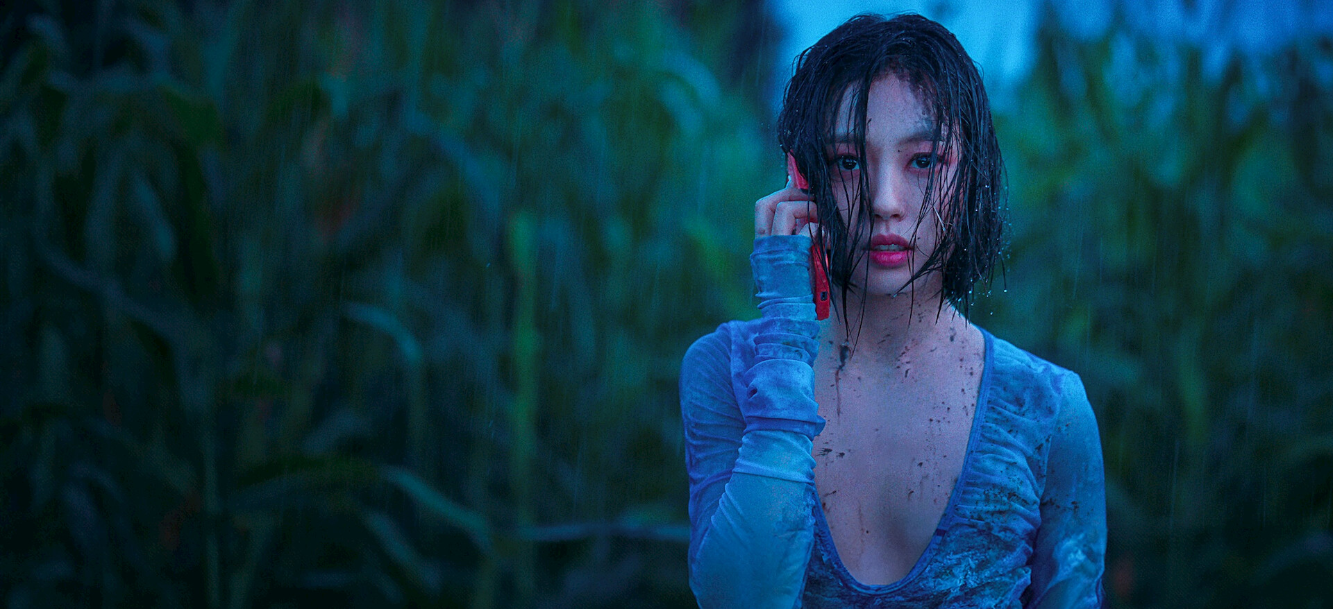 森の奥で、光が息をしていた。 誰もいない森の奥で木は音もなく倒れる﻿を観﻿る | Netflix (﻿ネ﻿ッ﻿ト