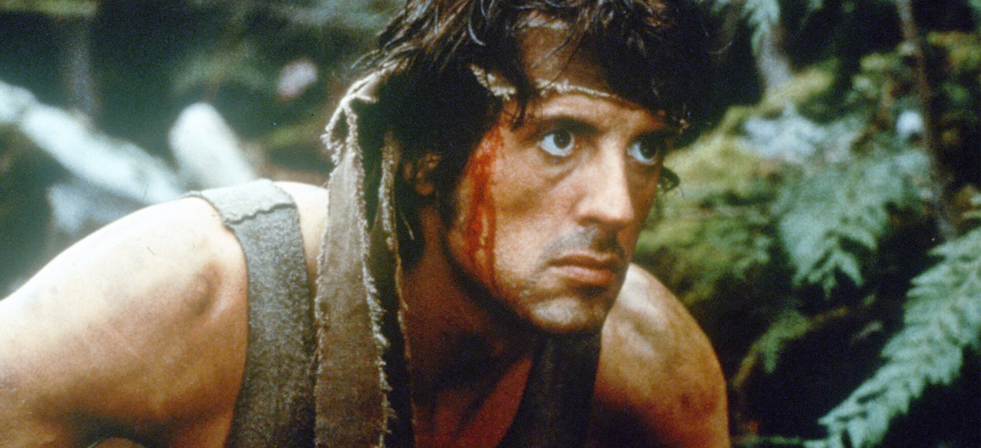 Watch Rambo: First Blood | Netflix