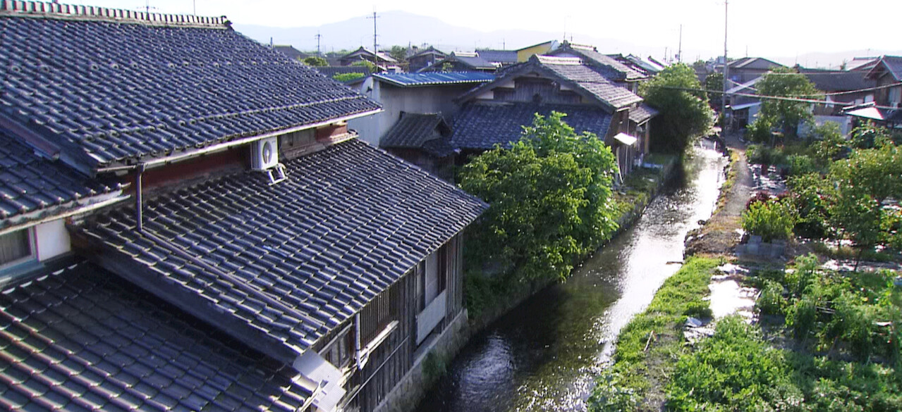 NHKスペシャル 映像詩 里山～命めぐる水辺～﻿を観﻿る | Netflix